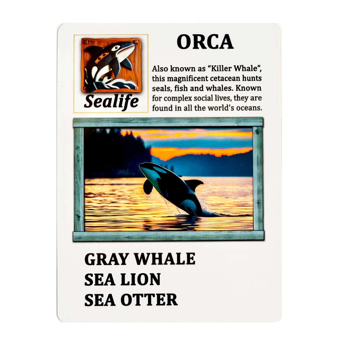 The Pacific Northwest Card Game